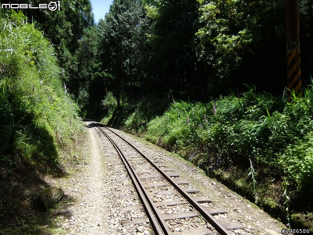端午連假去山上
