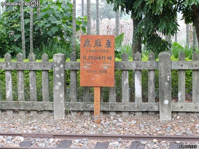 端午連假去山上
