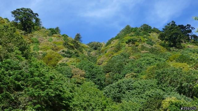 我們騎單車,我們遇見玉山。