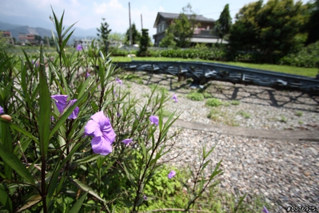 6.15~6.24島內流浪1130公里&曬昏頭錯搭綠島11號公車 day2