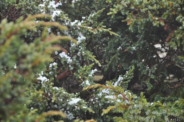 玉山 新世界七大奇景 真的有奇景喔!