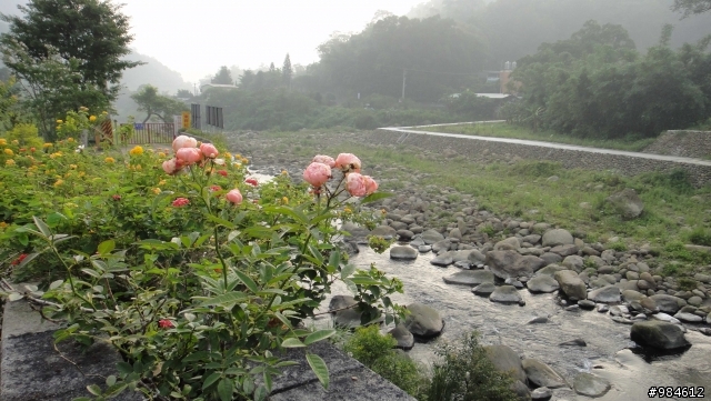 大白的一路迢迢遠,翻山越嶺南庄行