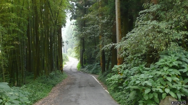 我們騎單車,我們遇見玉山。