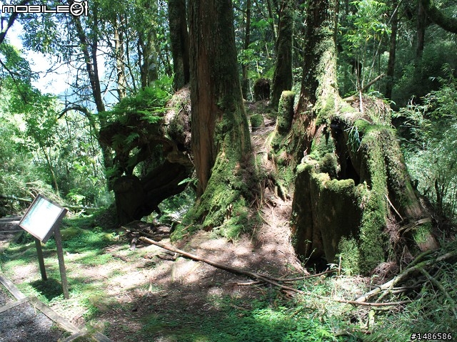 端午連假去山上