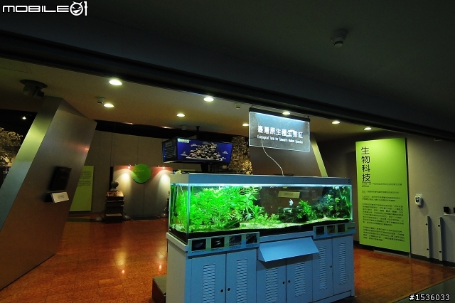 開著Luxgen SUV到高雄科工館,欣賞百變造型巧克力。