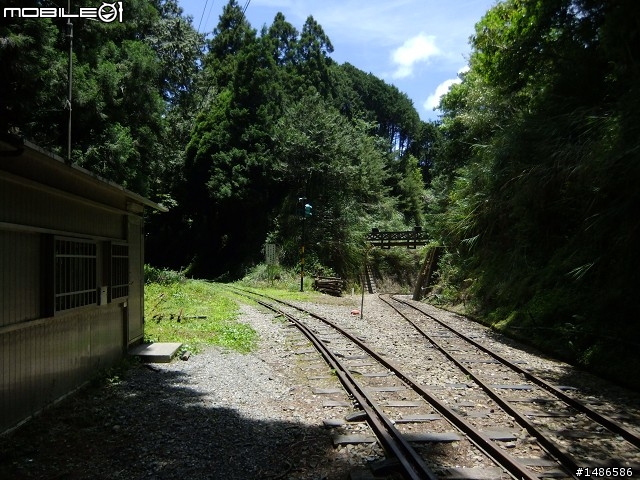 端午連假去山上