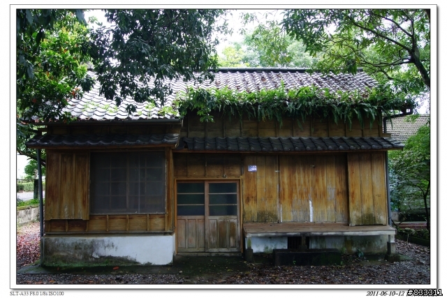 2011-0610~0612 三日台東鐵屁股