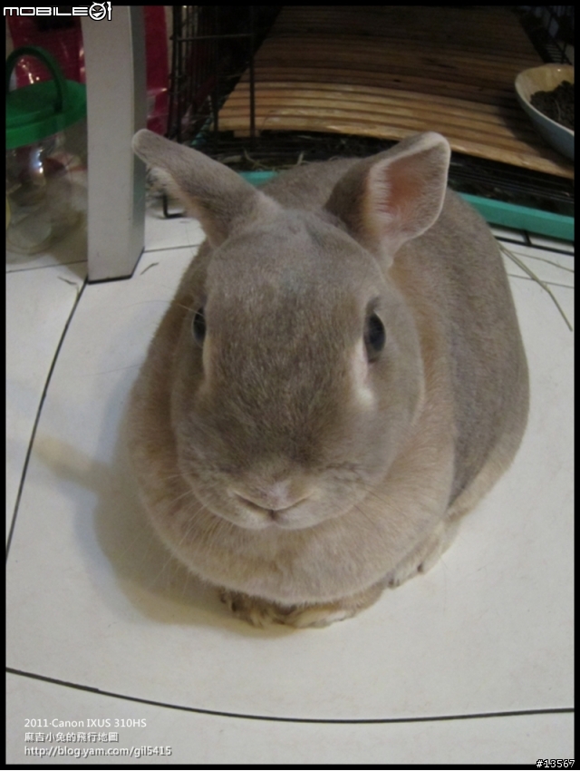 隨身小DC:Canon IXUS 310HS簡單開箱分享