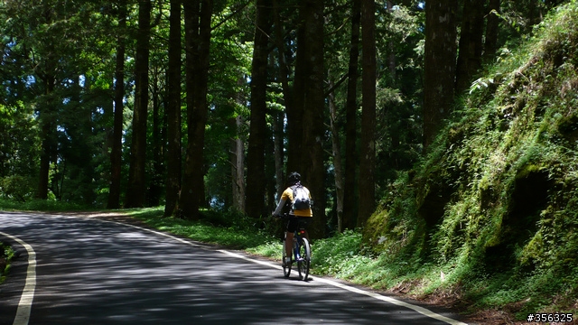 我們騎單車,我們遇見玉山。