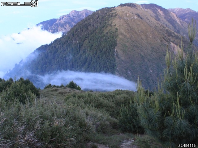 端午連假去山上