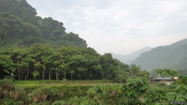 大白的一路迢迢遠,翻山越嶺南庄行
