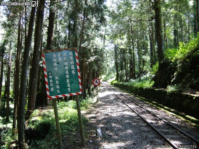 端午連假去山上