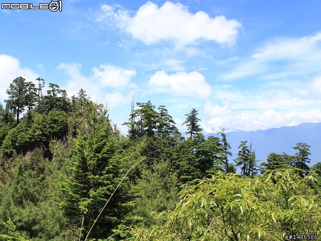 端午連假去山上