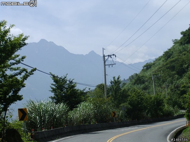 端午連假去山上