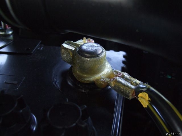 FORTIS雅致型特式車菜單以po開箱照