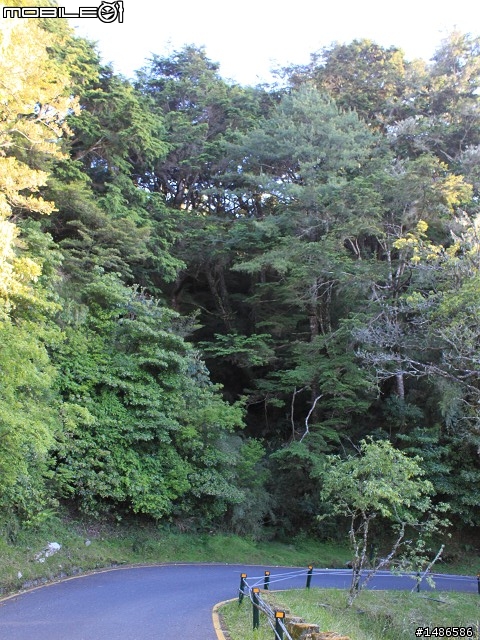 端午連假去山上