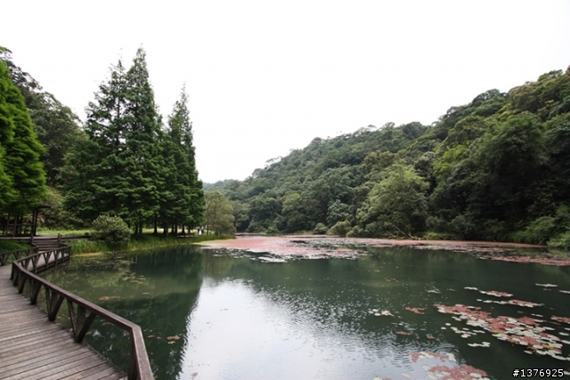 6.15~6.24島內流浪1130公里&曬昏頭錯搭綠島11號公車 day2