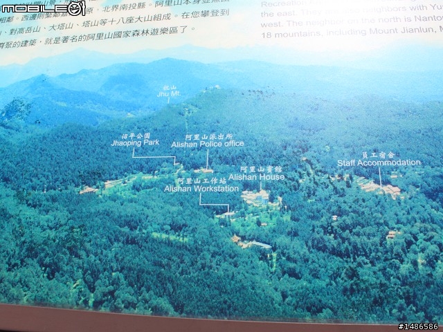 端午連假去山上