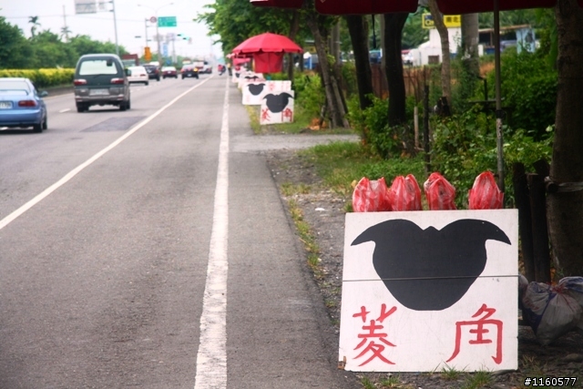帶著單車、相機去旅行-騎向屏東新埤鄉