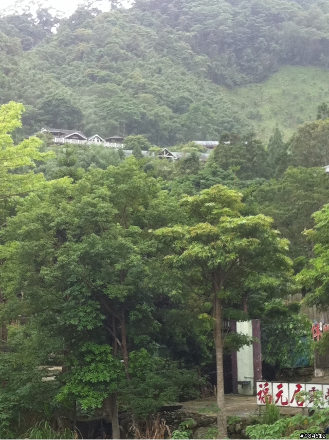 大白的一路迢迢遠,翻山越嶺南庄行