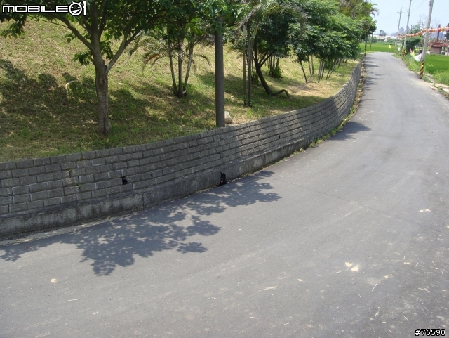 目擊桃園縣八德市中路復育公園有人棄養小黑狗