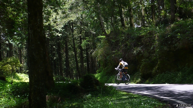 我們騎單車,我們遇見玉山。