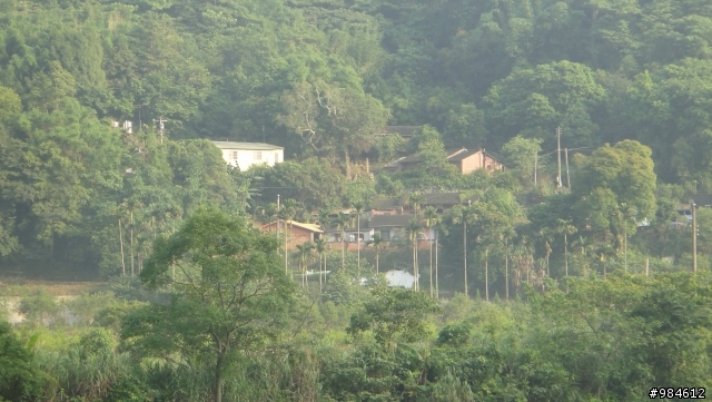 大白的一路迢迢遠,翻山越嶺南庄行