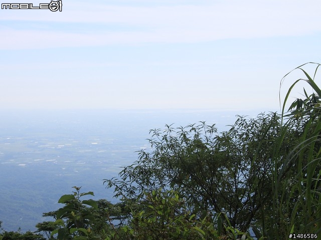 端午連假去山上