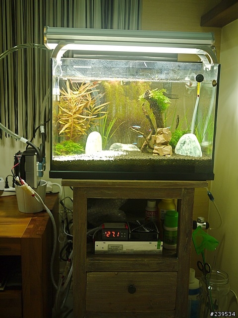 夏日炎炎-致冷水冷機開箱(1.5呎魚缸 )