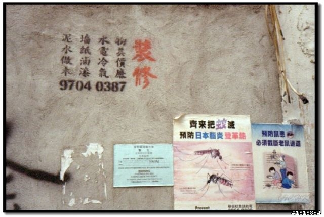 135中的精品, ROLLEI35