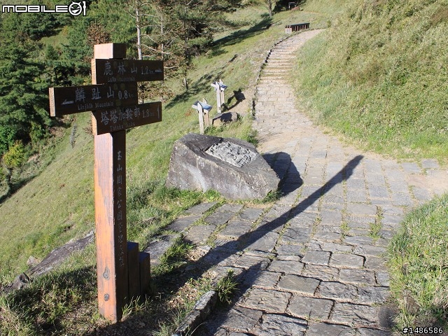 端午連假去山上