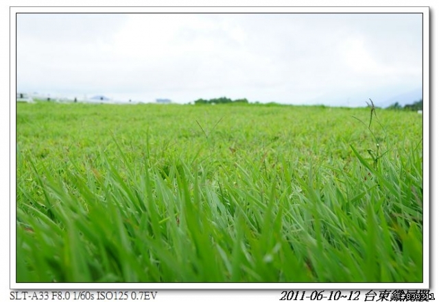 2011-0610~0612 三日台東鐵屁股