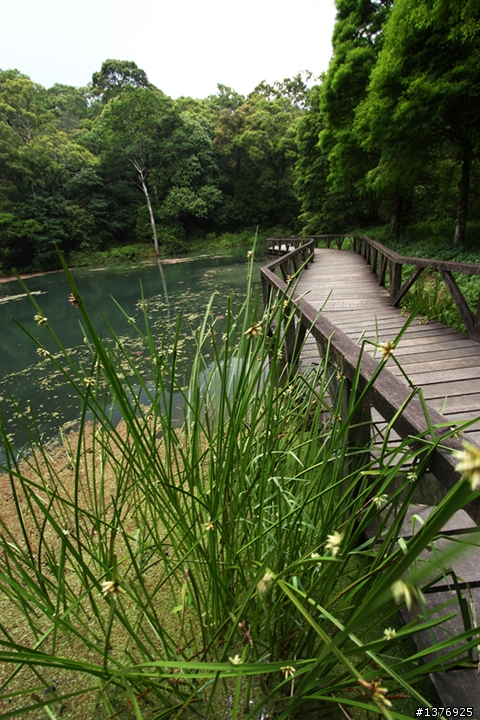 6.15~6.24島內流浪1130公里&曬昏頭錯搭綠島11號公車 day2