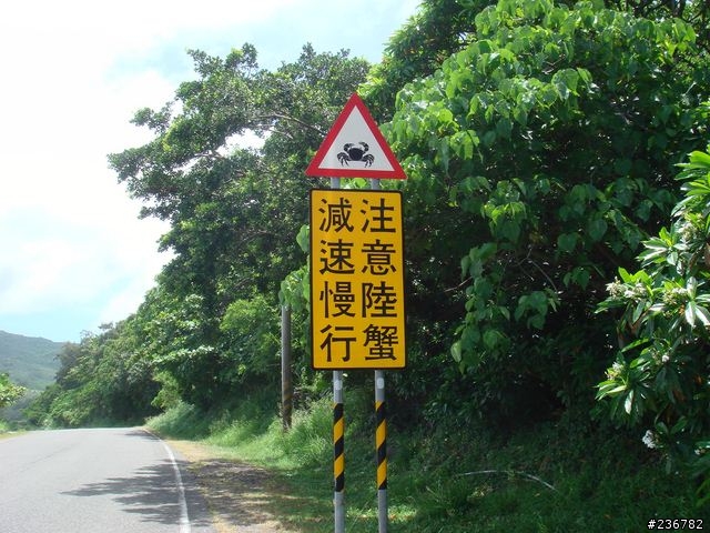 要環趁早之一個人的五天四夜環島行Day 3《男生的遊記有人會看嗎?》