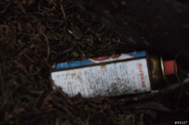 玉山 新世界七大奇景 真的有奇景喔!