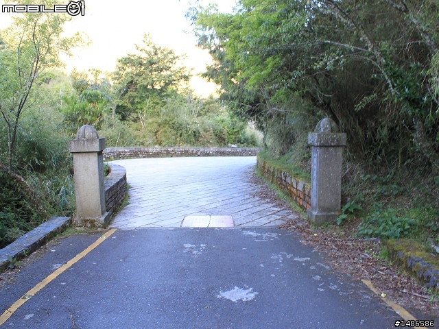 端午連假去山上
