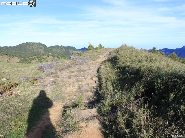 端午連假去山上