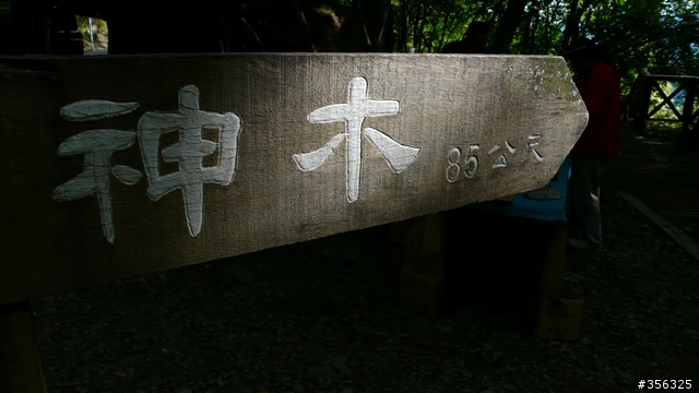 我們騎單車,我們遇見玉山。