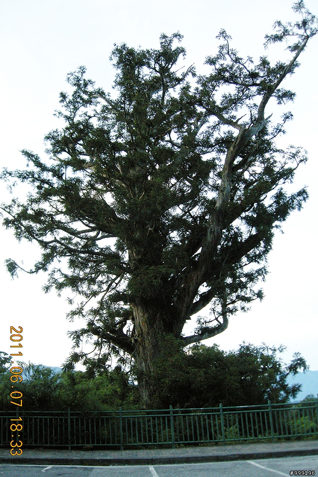 2011.06.07中橫挑戰行(西進東出)