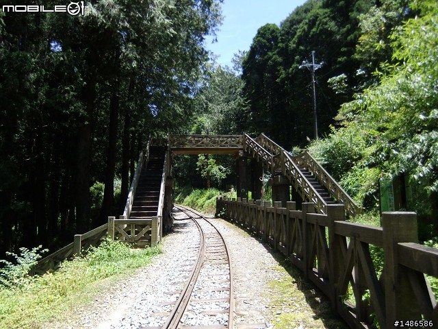 端午連假去山上