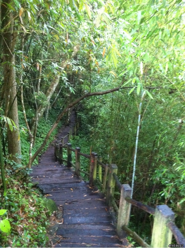 大白的一路迢迢遠,翻山越嶺南庄行