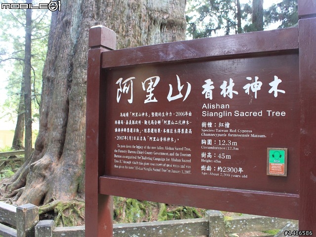 端午連假去山上