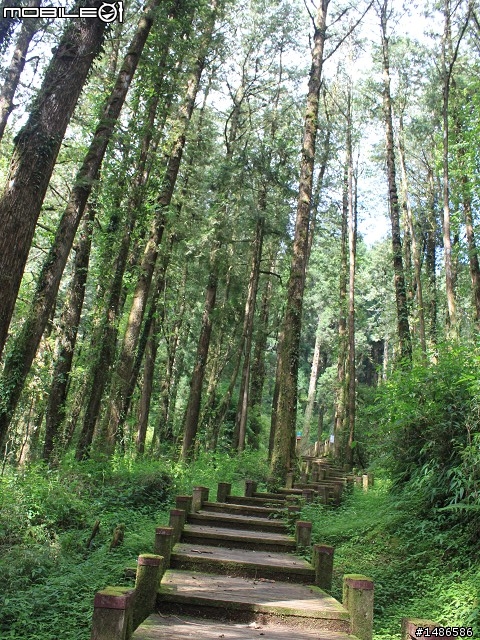 端午連假去山上