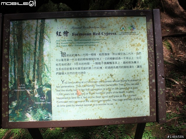 端午連假去山上