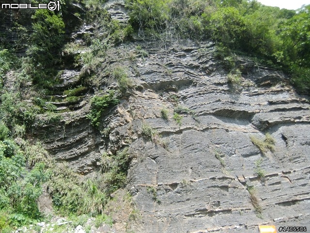 端午連假去山上