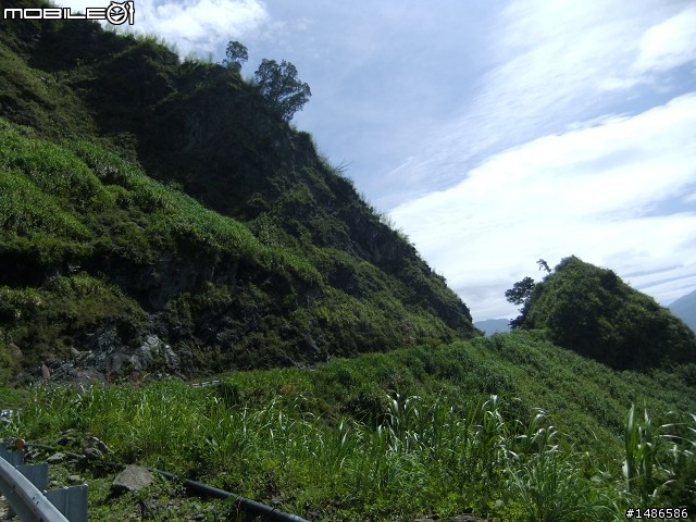 端午連假去山上
