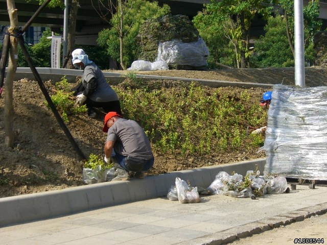 一座公園的誕生~明美公園開箱~