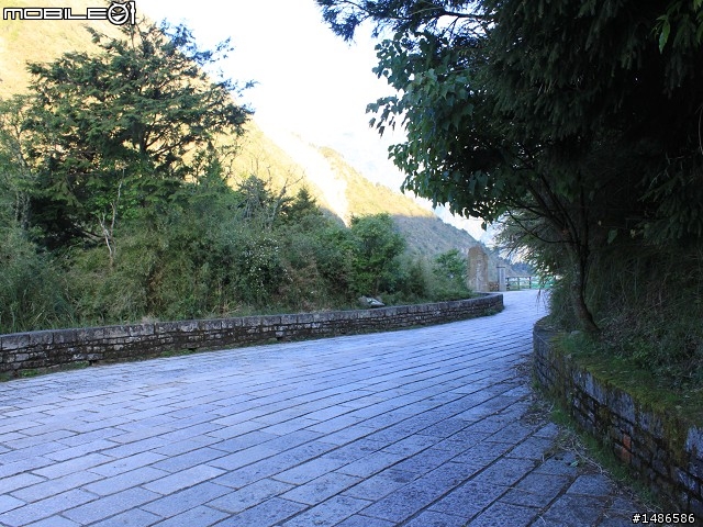 端午連假去山上
