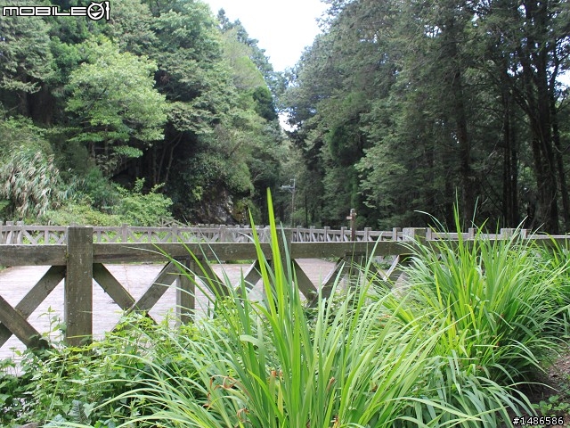 端午連假去山上