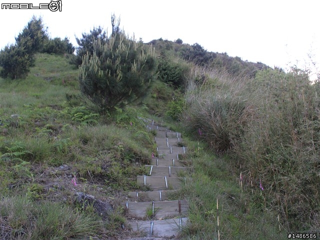 端午連假去山上